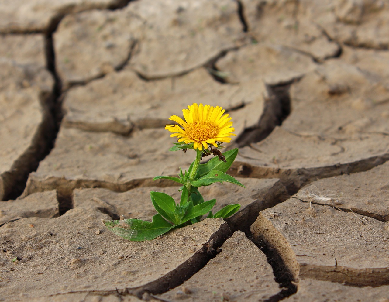 25 Ways to Grow Your Resilience Spiritual Living For Busy People